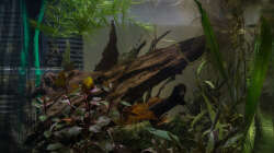 Becken in Vorbereitung