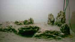 Terassse mit Höhle aus Drachensteinen ( ohne Wasser)