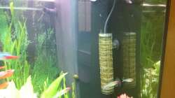 JBL Taifun co2 Reaktor  und dahinter Bioflow 6.0 Filter