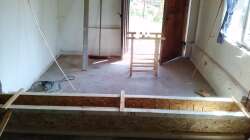 Aquarium Rochen Becken,Potamotrygon