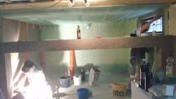 Aquarium Rochen Becken,Potamotrygon