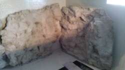 Dekoration im Aquarium Rochen Becken,Potamotrygon