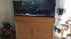 Aquarium Malawi Mbuna Tank vor Umbau