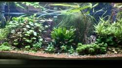 Aquarium Eheim Proxima