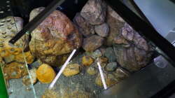 Technik im Aquarium Malawi 2 (aufgelöst, nur noch Beispiel )