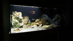 Aquarium Malawi 2 (aufgelöst, nur noch Beispiel )