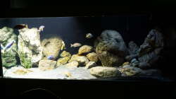 Aquarium Malawi 2 (aufgelöst, nur noch Beispiel )