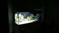Aquarium Malawi 2 (aufgelöst, nur noch Beispiel )