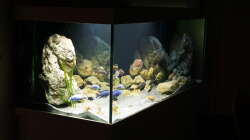Aquarium Malawi 2 (aufgelöst, nur noch Beispiel )
