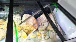 Technik im Aquarium Malawi 2 (aufgelöst, nur noch Beispiel )