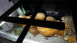 Technik im Aquarium Malawi 2 (aufgelöst, nur noch Beispiel )