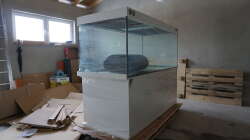 Aquarium am Tag der Lieferung