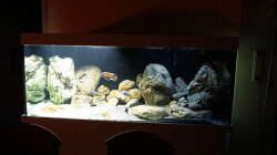 Aquarium Malawi 2 (aufgelöst, nur noch Beispiel )