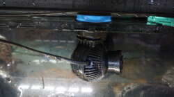 Technik im Aquarium Malawi 2 (aufgelöst, nur noch Beispiel )