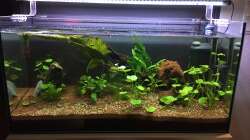 Aquarium 96er
