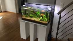 Aquarium 96er
