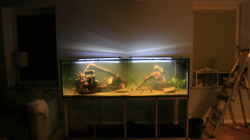 Aquarium Becken 33581