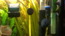 Technik im Aquarium 200er