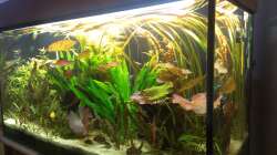 Aquarium 200er
