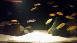 Aquarium Becken 33614