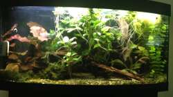 Vorderansicht im Dezember 2016