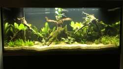 Wasser ist nicht mehr trüb