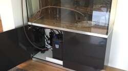 die Pflanzen ziehen ein