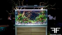 Aquarium Ctulluh