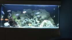 Aquarium Malawi Deep