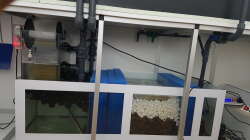 Technik im Aquarium AquaRio