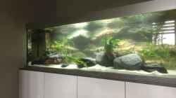 Aquarium Becken 33795