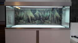 Vor der Neu-Einrichtung. Styropor als Unterlage um Gewicht und Sand zu sparen.