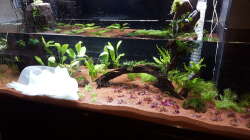 19.) Bald ist es geschafft