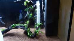 15.) Co2 Anlage verbaut