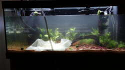 20.) Leitungswasser + Osmosewasser 50 50