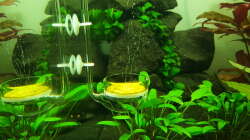 Technik im Aquarium Unterwasserwelt