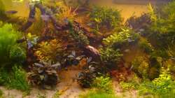 Geasamtansicht 07-2017