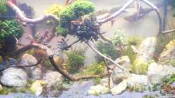 Dekoration Anfang Dezember 2016