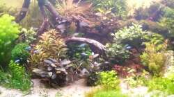 Nach Umgestaltung im Juli 2017