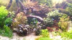 Nach Umgestaltung im Juli 2017