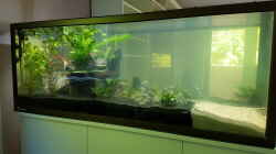 Aquarium Becken 33864