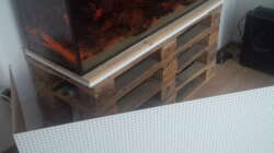 Europaletten mit Aussparungen für die Filter. Können zum reinigen einmal seitlich