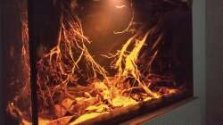Aquarium Rio Negro - aufgelöst - nur noch als Beispiel