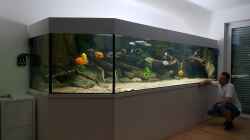 Aquarium 4.500l-Becken