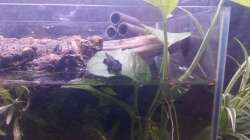 landphase bald geht es ins wasser 