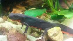 nochmal moritz er ist etwas schüchtern 