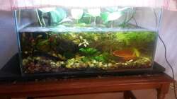 September vor dem wasserwechsel 