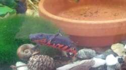 moritz hält sich viel im unteren Bereich  auf