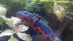 Sascha ist sehr neugierig 