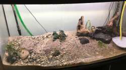 Mit Deko und Pflanzen zur Probe